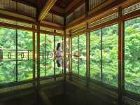 【佐賀】京都じゃないんです！緑のリフレクション🌳