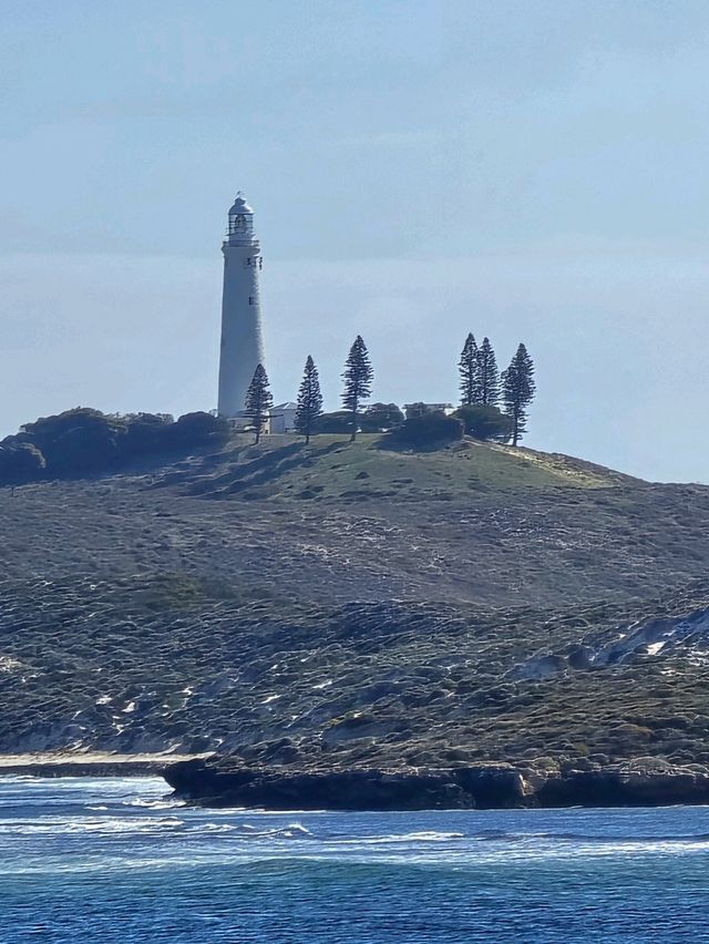 Rottnest Island - Perth Australia