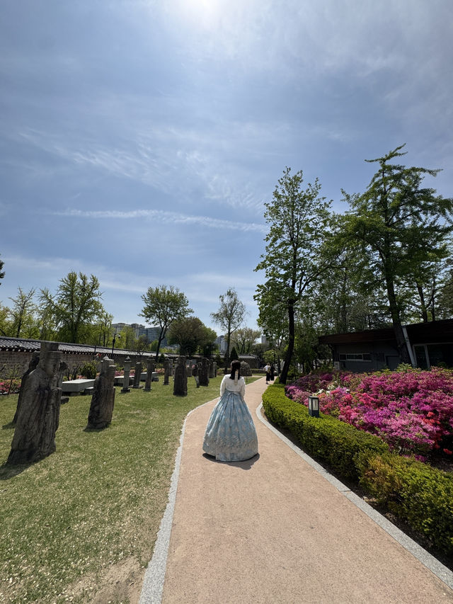 🌸 A Dreamy Birthday Moment at Gyeongbokgung Palace, Seoul 👘🎂