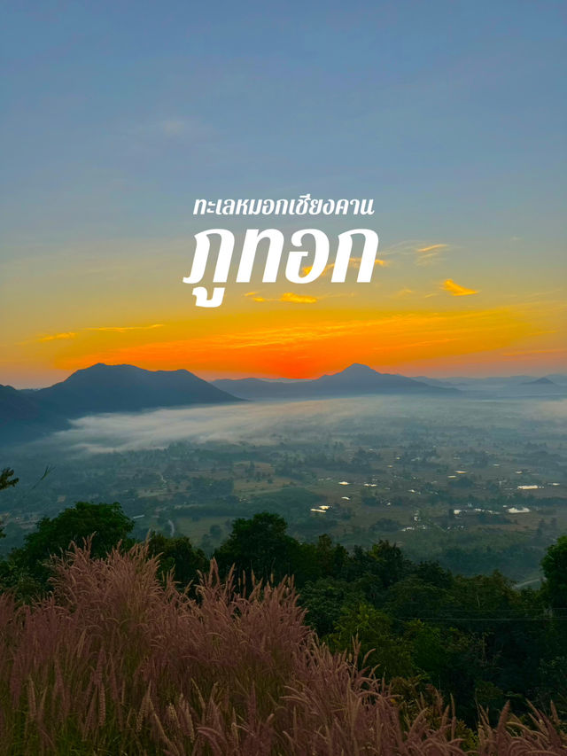 ภูทอก ทะเลหมอกเชียงคาน🌅🍃