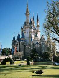 🎢【千葉・舞浜 東京ディズニーランド攻略】初心者もリピーターも！一日を最大限に楽しむヒント
