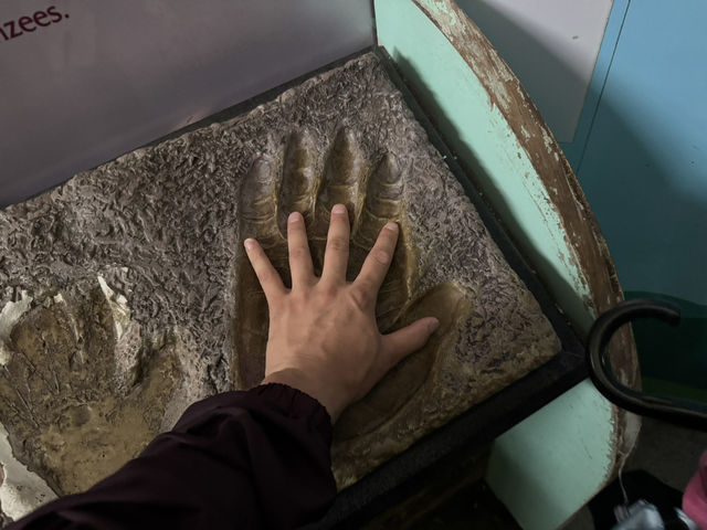 A Great Day at Shanghai Zoo