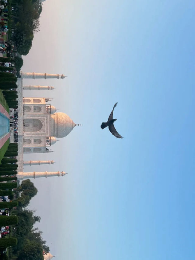 The monuments in Delhi is so historical and architectural. 