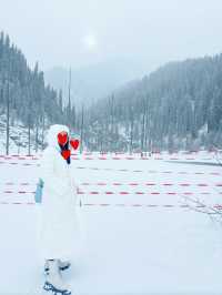 Frozen Dreams: A Winter Escape to Lake Kaindy