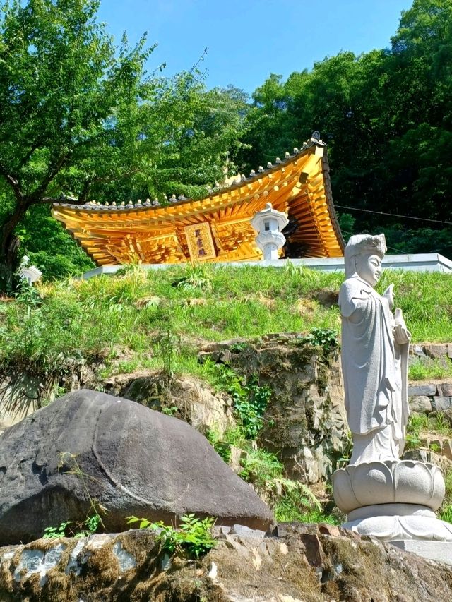 숲속의 고즈넉한 천년고찰 🕊️