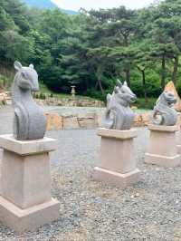 산사에서 시작하는 밀양 여행 🍃
