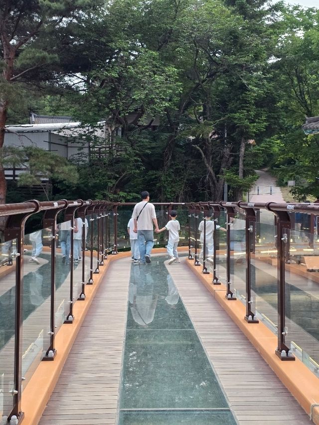 제천의 물길을 따라 걷는 하루 여행