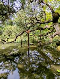 京都 | 平安神宮神苑，彷彿走入莫內的花園