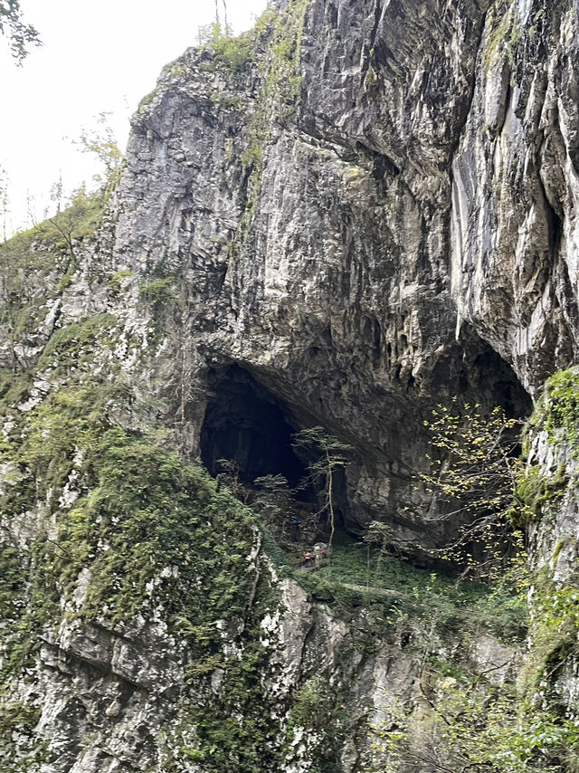 【クロアチア→スロベニア/2泊3日で2つの世界自然遺産へ】