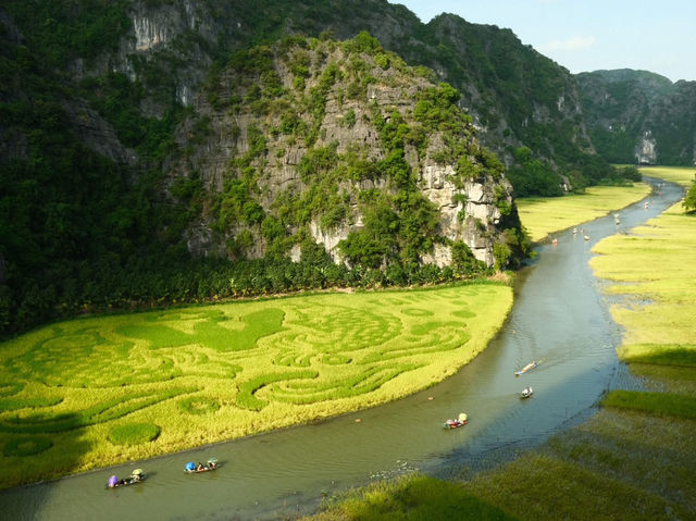 Tam Coc - Golden fields and timeless beauty 🌾