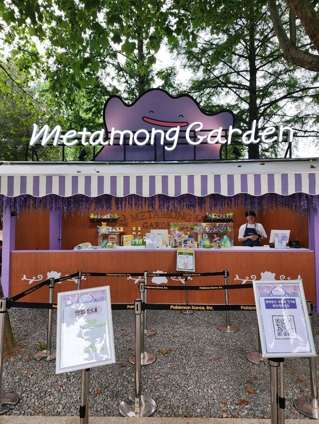 【ソウル🇰🇷】期間限定！メタモンガーデン🪻