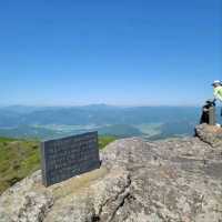 Azaleas, Views & Easy Trails in Jangheung