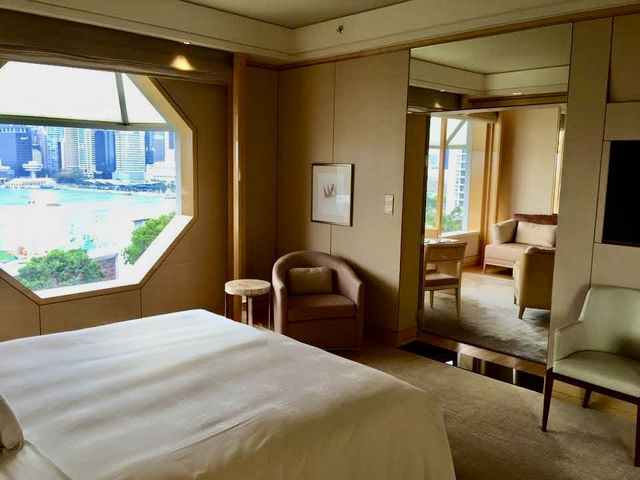 新加坡靚景首選酒店Ritzcalton ⭐️⭐️⭐️⭐️⭐️