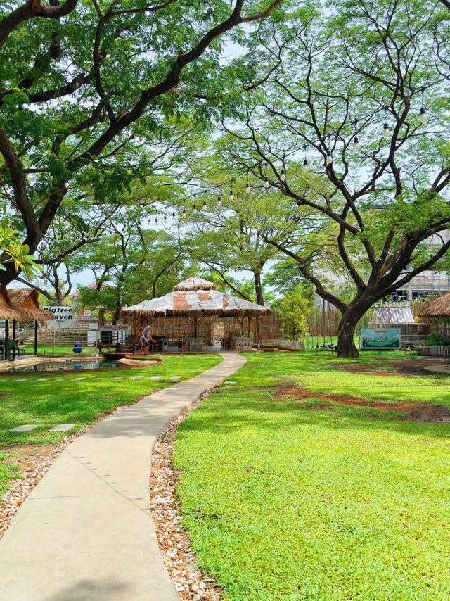  คาเฟ่และร้านอาหารบรรยากาศริมบ่อปลาคาร์ป