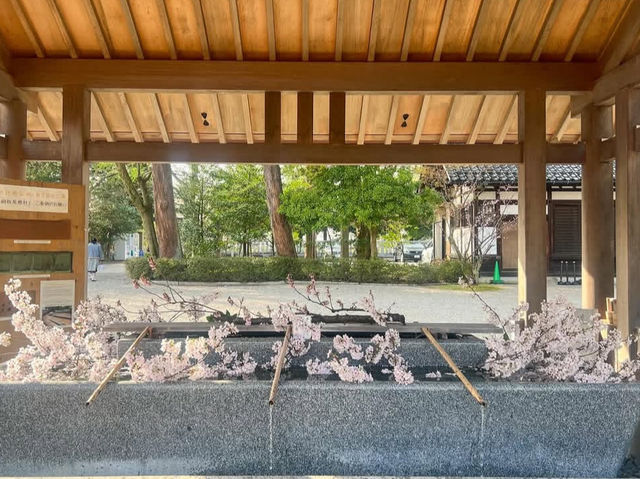 “日本一の美男”に出会う旅🧘‍♂️ 高岡大仏で心静まるひととき
