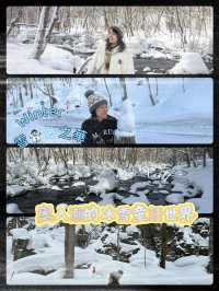 《❄️☃️ 雪之華》走進雪地童話—奧入瀨溪流❄️ #雪地 #冰雪世界