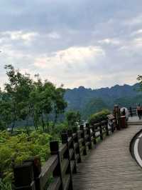 天下山峰何其多  唯有此處峰成林