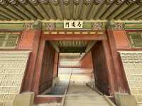 🇰🇷 A Royal Start: Exploring Gyeongbokgung Palace as a First-Time Visitor