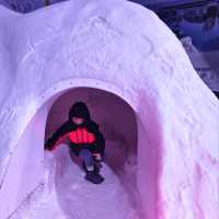 Exploring the Wonders of the International Antarctica Museum