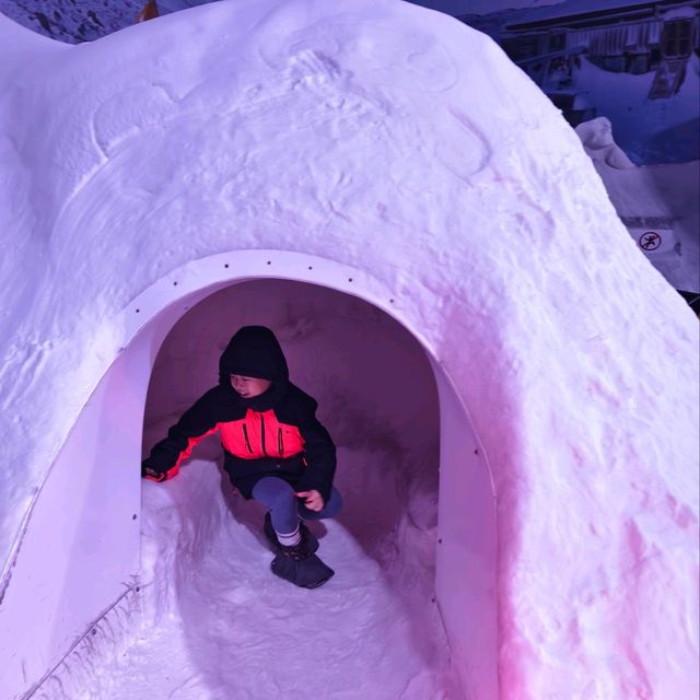 Exploring the Wonders of the International Antarctica Museum
