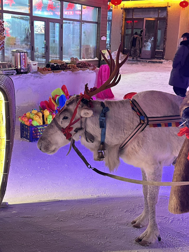중국 속 겨울왕국, 설향 마을🦌❄⛄️🤍