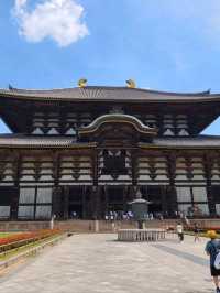 Nara park - must visit place in Japan