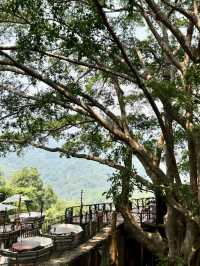 산 속 오솔길과 목재 테라스, 💚아름다운 자연경관이 있는 치앙마이 카페투어🏞️