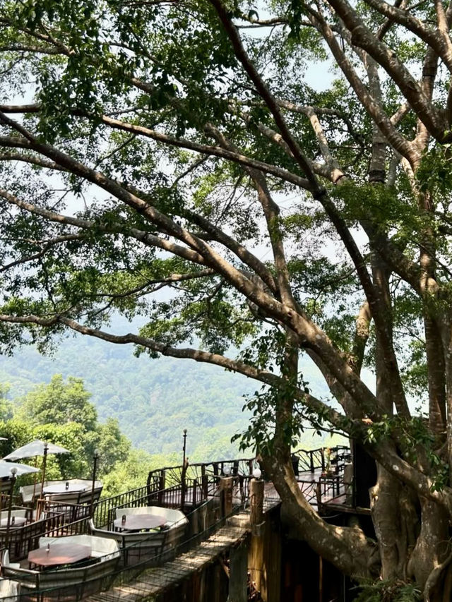 산 속 오솔길과 목재 테라스, 💚아름다운 자연경관이 있는 치앙마이 카페투어🏞️