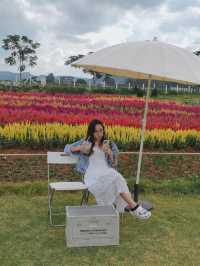 ✨Blossom Bloom Bliss – A Fairytale Café in Khao Yai