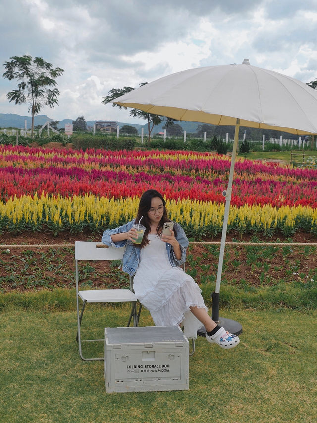 ✨Blossom Bloom Bliss – A Fairytale Café in Khao Yai