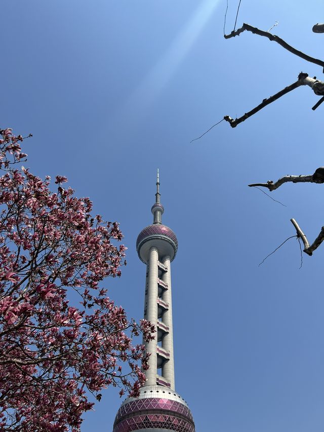 Disney Store in Shanghai’s Lujiazui area