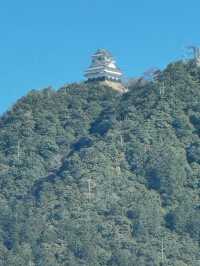 【絶景と歴史の融合】岐阜城から望む金華山のパノラマビュー