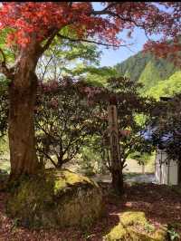 【紅葉と祈りの絶景🍂天開山泰運寺で心を整える旅】