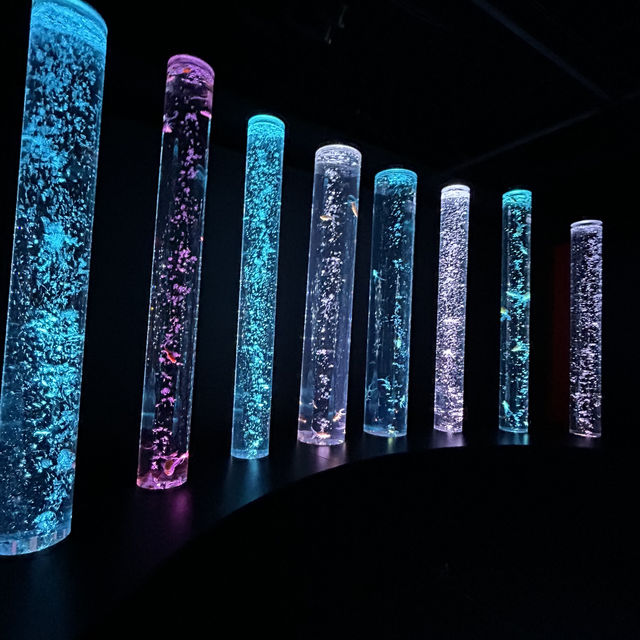 【銀座】 アートアクアリウム銀座美術館 GINZA