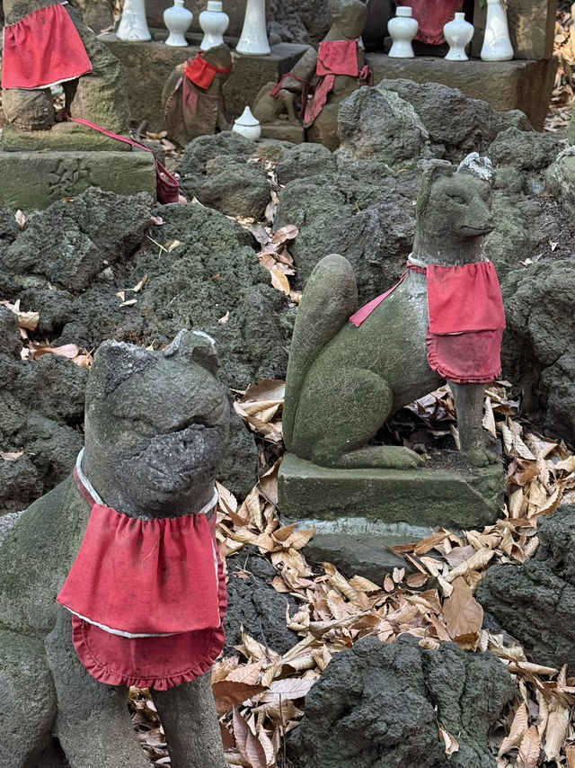 Tokyo Neighbourhood Guide: Hidden Corners & Local Favourites