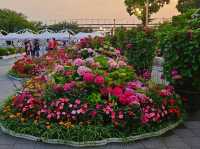 The decoration of blossoming hydrangeas at Jangsaengpo