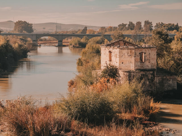 A Walk Through Time – Roman Bridge & Puerta del Puente in Córdoba 