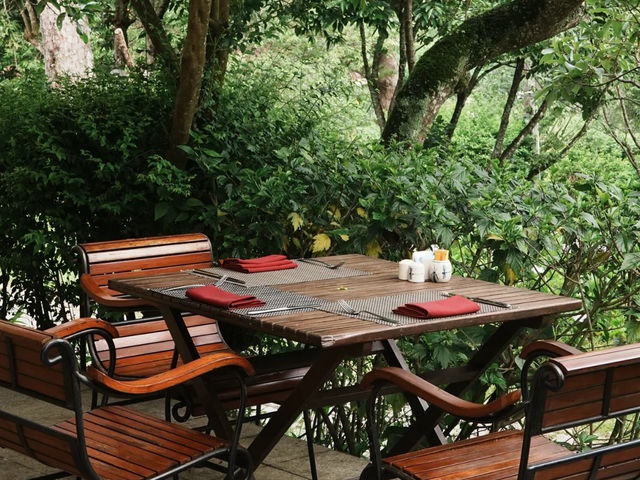 Da Lat, Vietnam: My Perfect Mid-to-Late May Getaway! 🌸🌧️