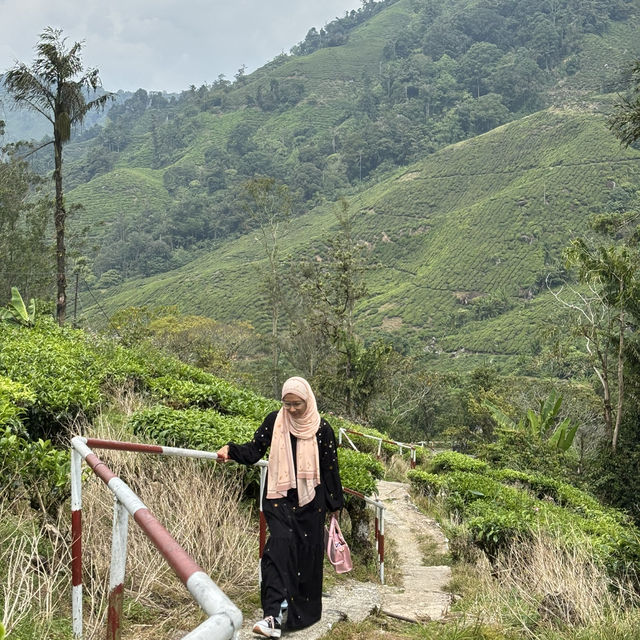 unique experience in a tea plantation & less crowd too!