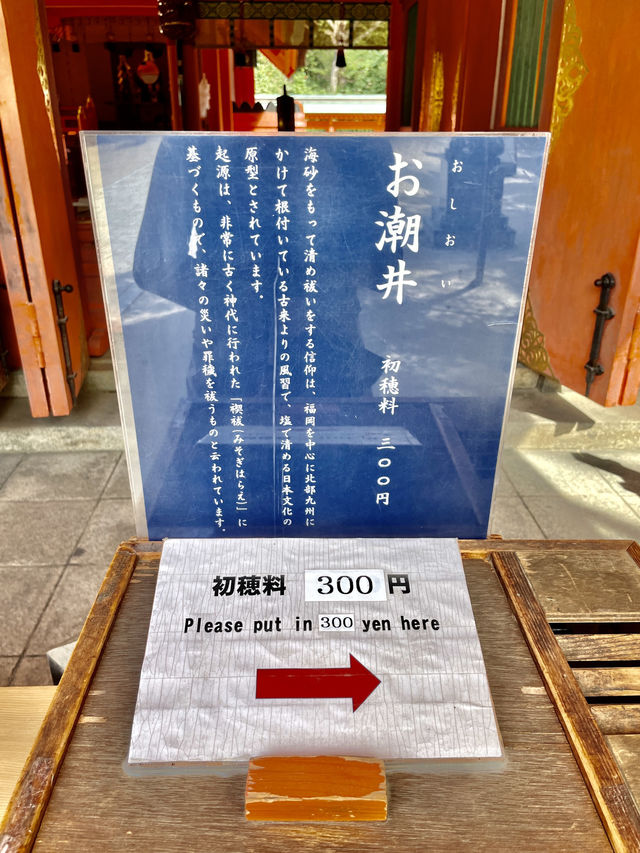 하카타 숨은 오아시스🌿 후쿠오카 住吉神社 완전 가이드