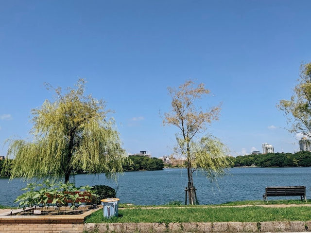 Ohori park | Fukuoka