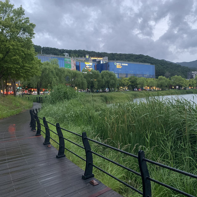 도심 속 숨은 산책 명소, 대구 수성못