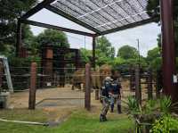 Ueno Zoo & Park