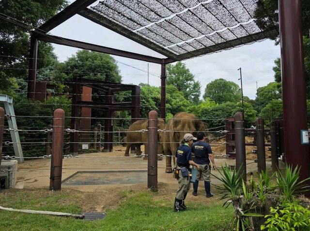 Ueno Zoo & Park