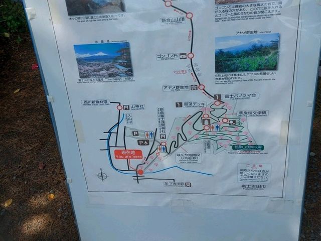 跟團遊富士山印、忍野八海路線