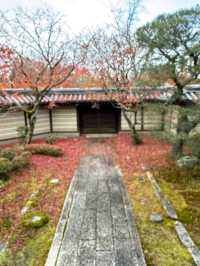 @ EIKANDO TEMPLE IN KYOTO.