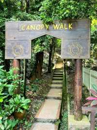 KL Eco Forest Park & Canopy Walk: A Green Escape in the City