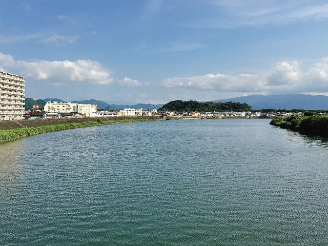 Numazu Port: Catching the Fish Market After Hours! 🐟☀️
