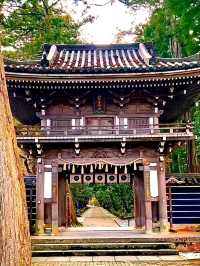 เยือนศาลเจ้านุกิซากิ อิจิโนะมิยะ