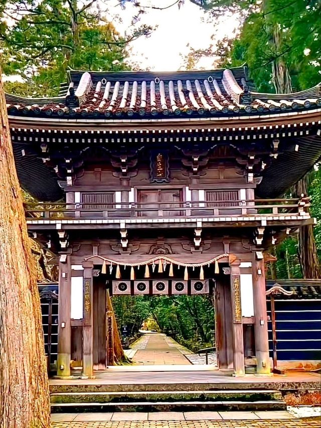 เยือนศาลเจ้านุกิซากิ อิจิโนะมิยะ